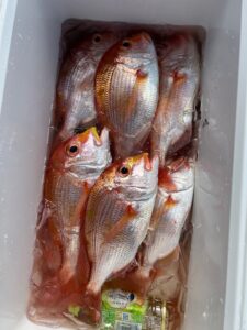 ７年４月　釣果